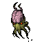 Brain Squids
