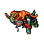 Lizard Dragon Priests