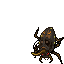 Mycobiontic Beetles