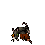 Pirat Cutthroats
