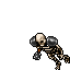 Skeleton Warriors