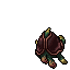 Two-headed Turtles